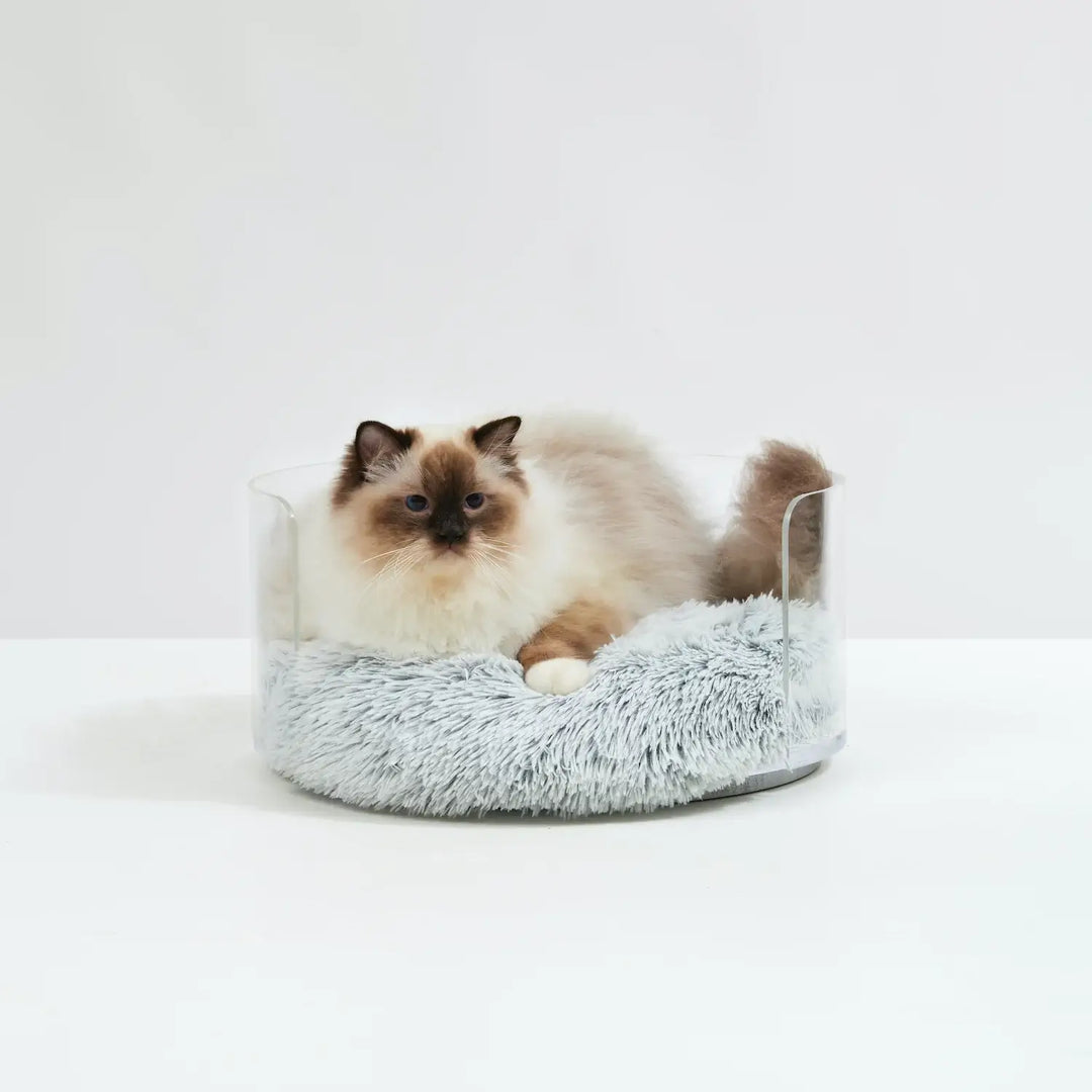 Hauspanther Feature: Crystal Clear Luxe Cat Bed from Hiddin