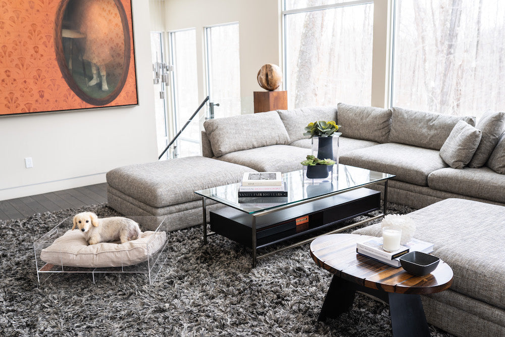 PetAge Feature: Sophisticated Designs: Hiddin Products Look Attractive, Minimize Pet Anxiety