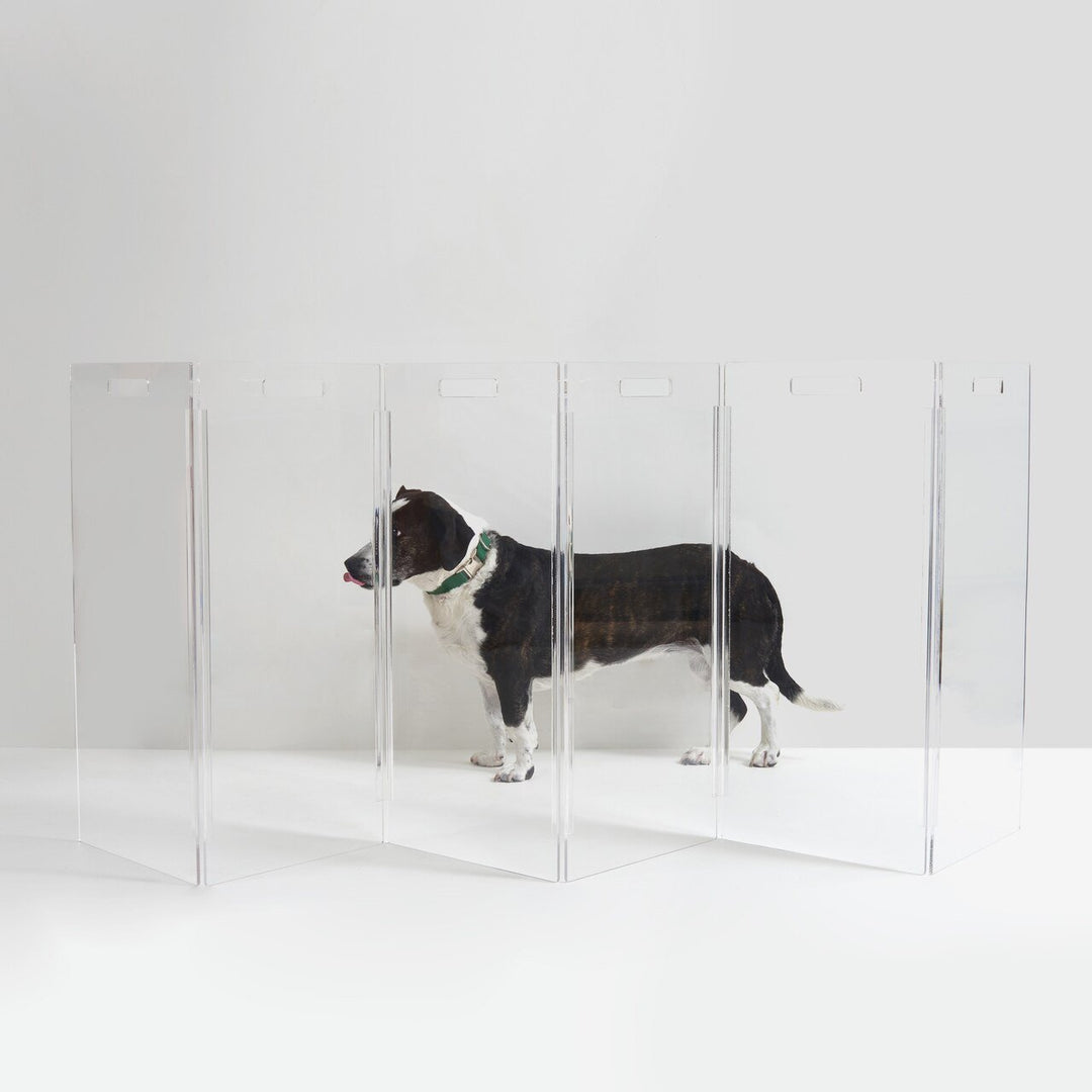 Pet Business Feature: Confining Your Critters