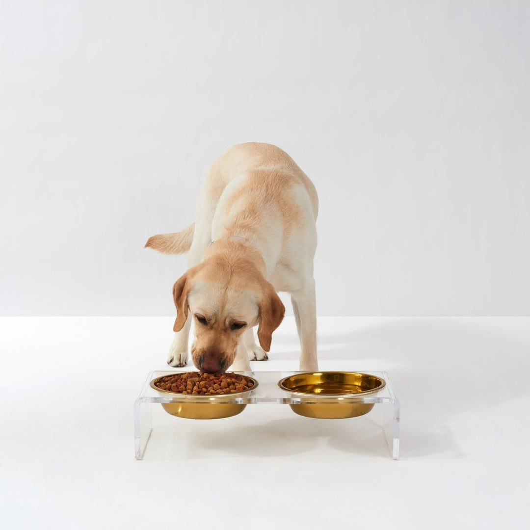 Pet Product News Feature: Supporting the Economy Isn’t the Only Reason Shoppers Want Made in the USA Pet Products