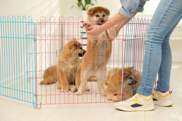 Should I Get a Playpen for my Puppy? Pros and Cons of Puppy Playpens