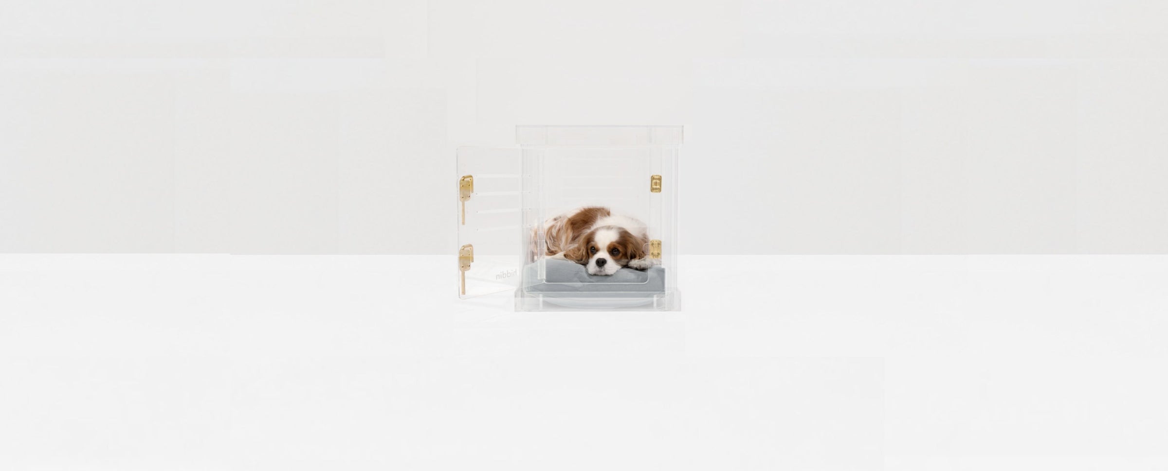 Clear Dog Crates