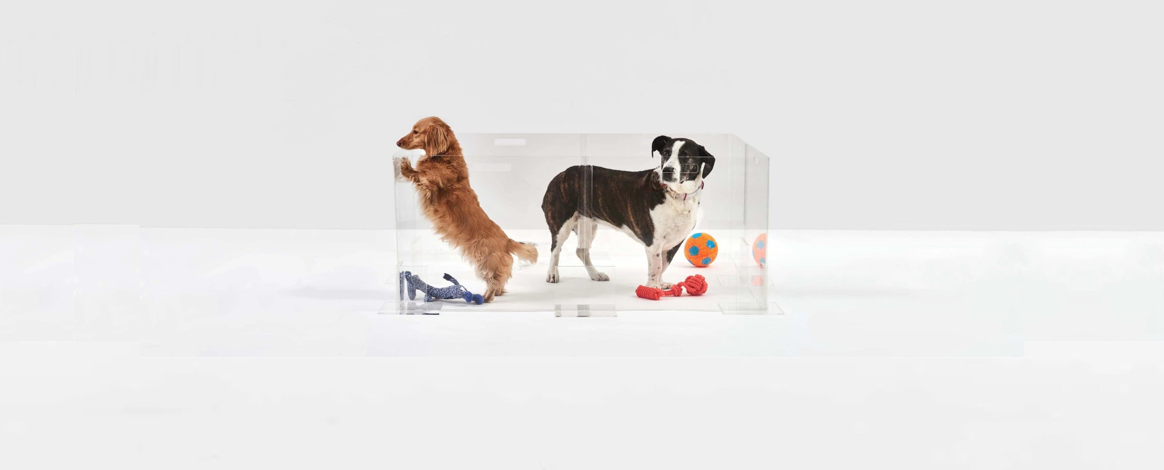 Clear Dog Playpens