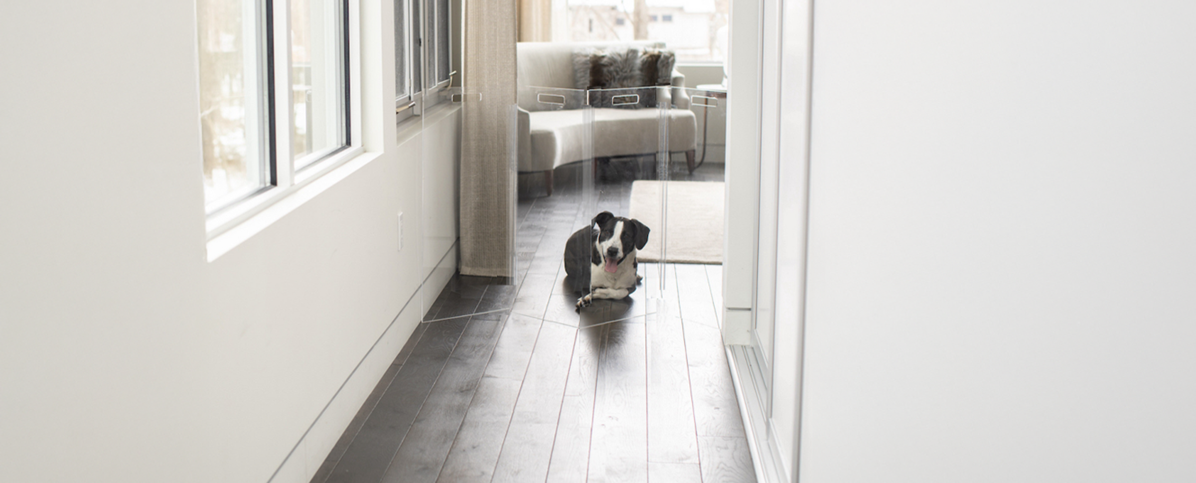 Clear Dog Gates