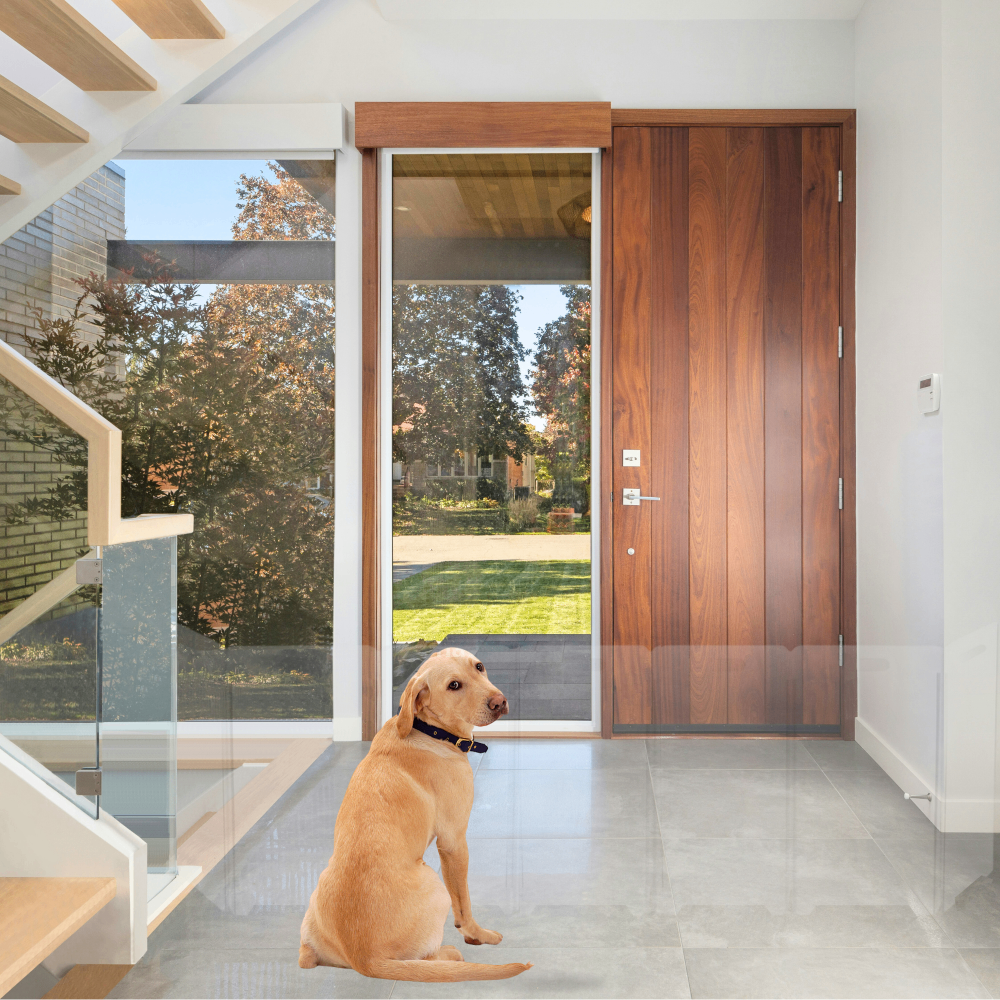 Clear Front Pet Gate