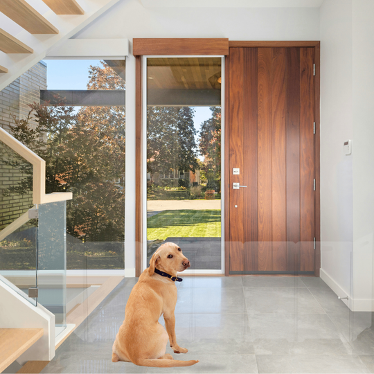 Clear Front Pet Gate