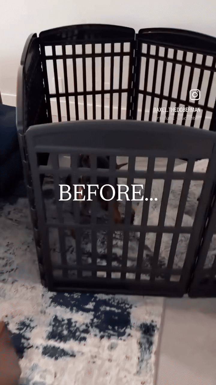 Clear Pet Playpen, 32" High with Door