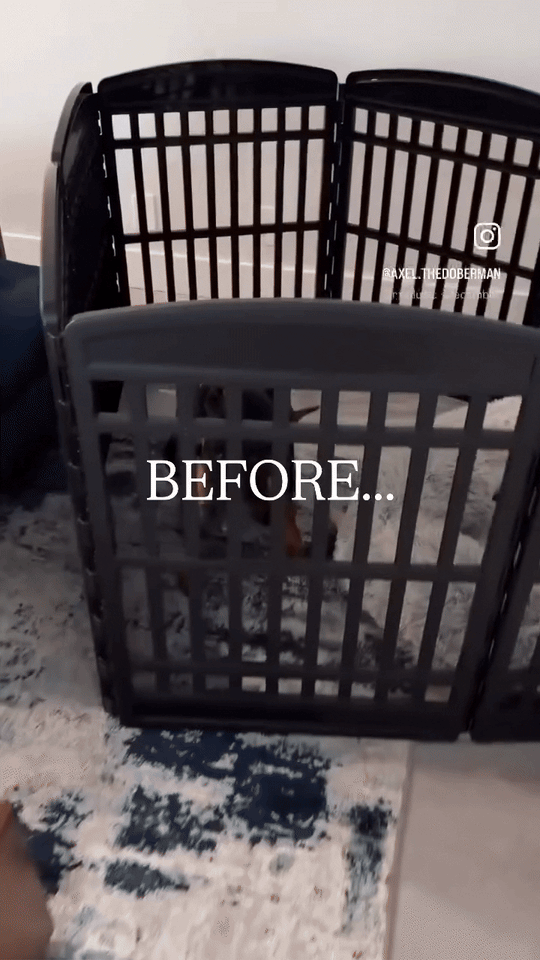 Clear Pet Playpen, 32" High with Door