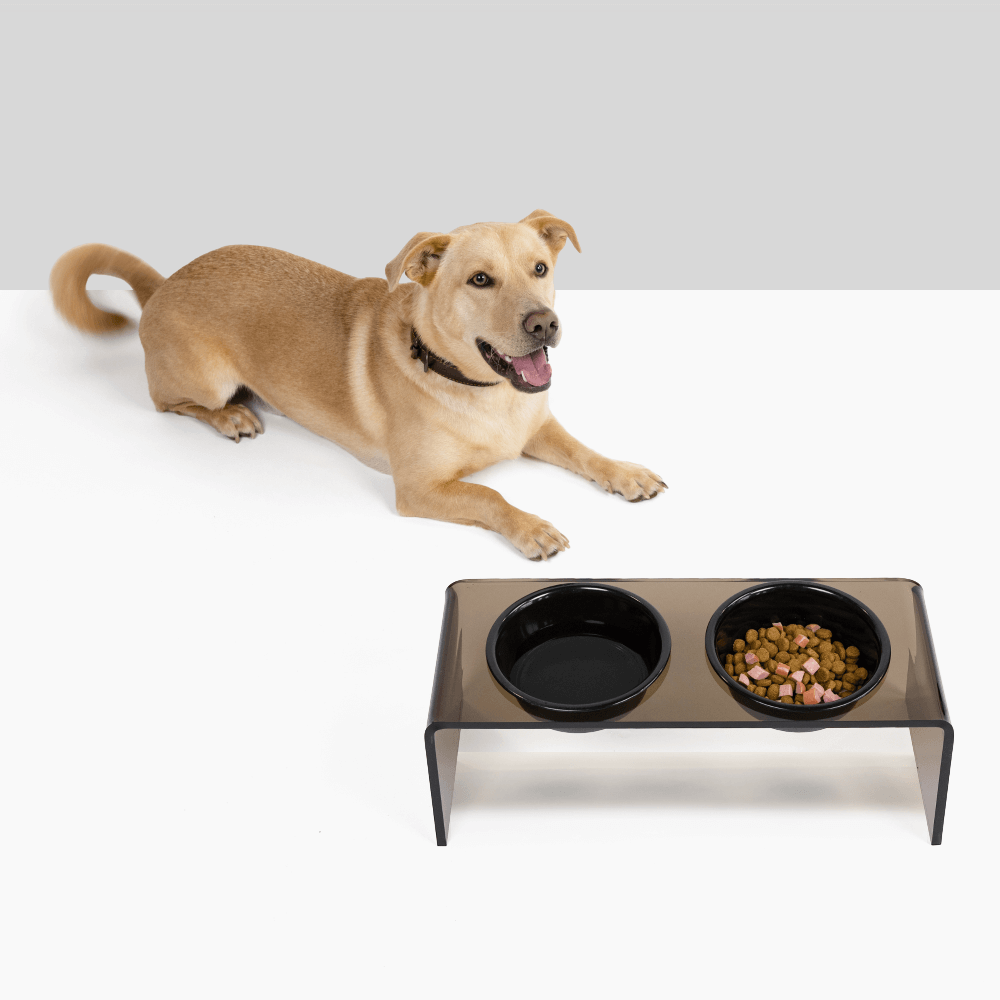 Medium Bronze Feeder