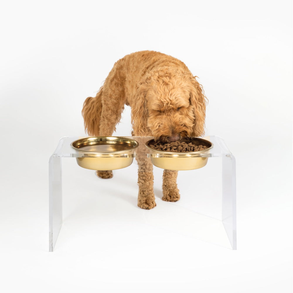 Acrylic dog bowl hotsell