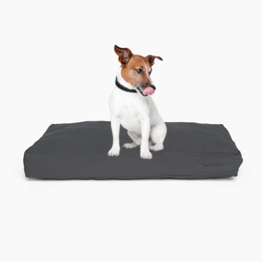 Hiddin Pet Cushion