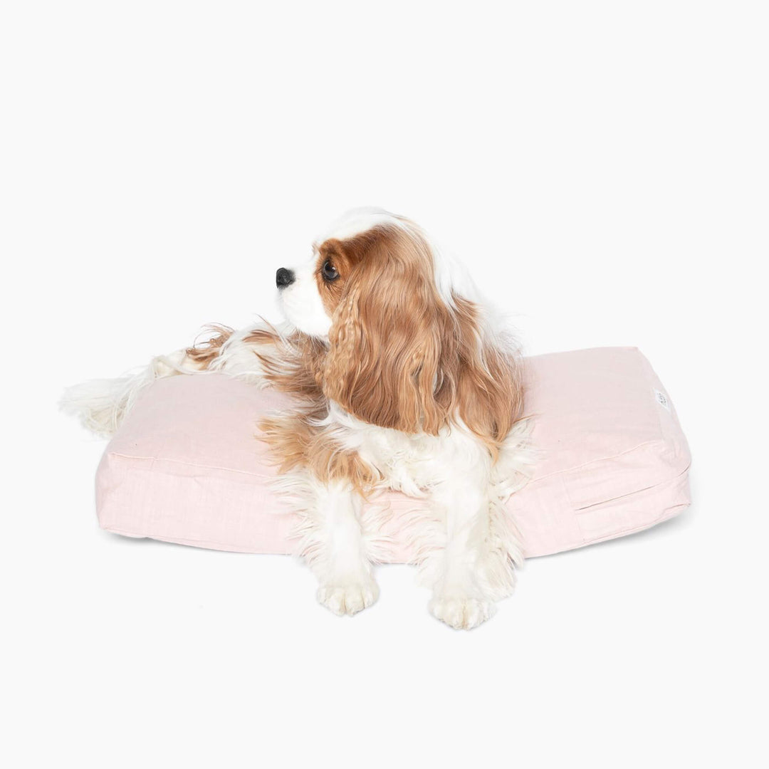 Hiddin Pet Cushion