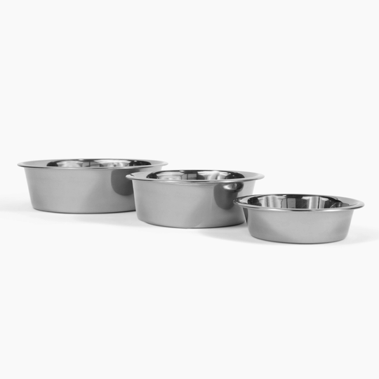 Hiddin Metal Pet Bowls, Set of 2