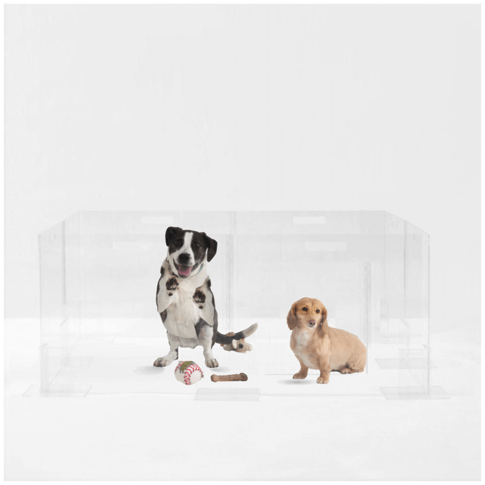 Clear Pet Playpen, 24" High