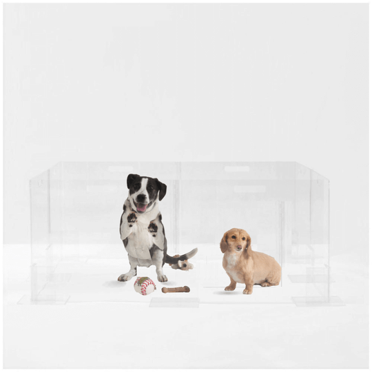 Clear Pet Playpen, 24" High