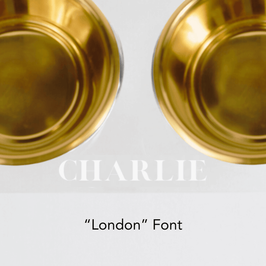 Monogram Gold Feeder