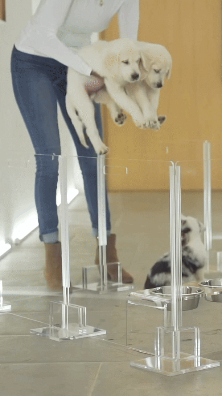 Clear Pet Playpen, 32" High with Door