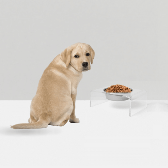 Single Silver Feeder