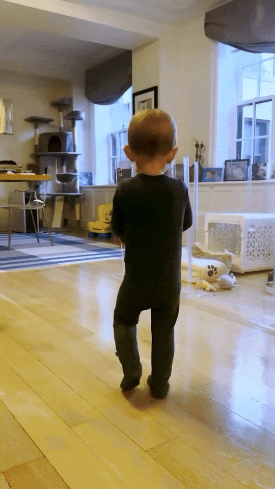 Clear Pet Playpen, 32" High with Door