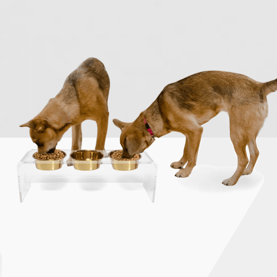 Tall Triple Gold Feeder