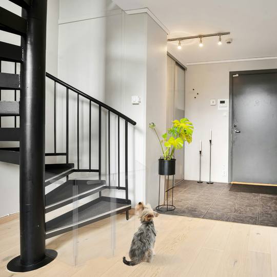 Clear Front Pet Gate