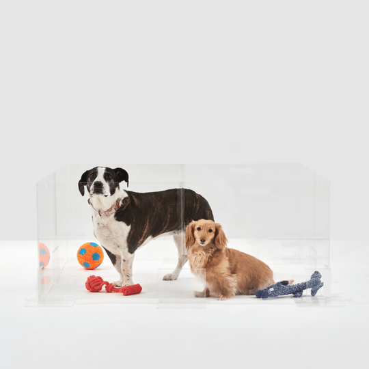 Clear Pet Playpen, 24" High