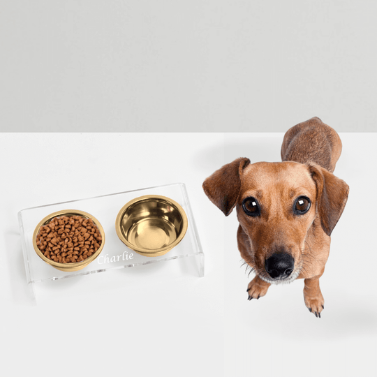 Monogram Gold Feeder