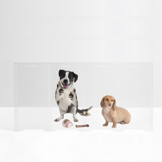 Clear Front Pet Gate