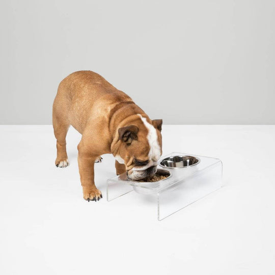 Monogram Slant Silver Feeder