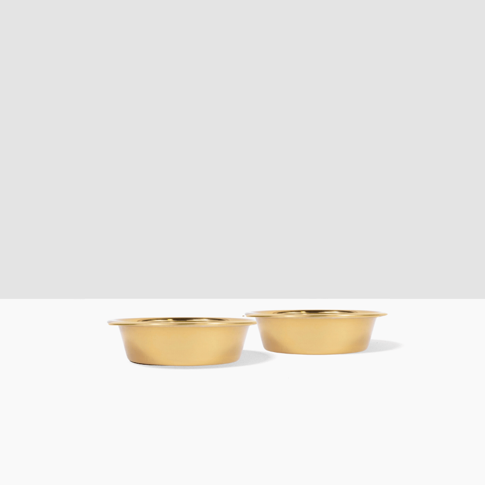 Hiddin Metal Pet Bowls, Set of 2