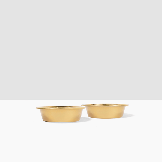 Hiddin Metal Pet Bowls, Set of 2