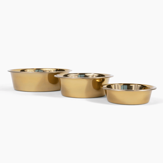 Hiddin Metal Pet Bowls, Set of 2