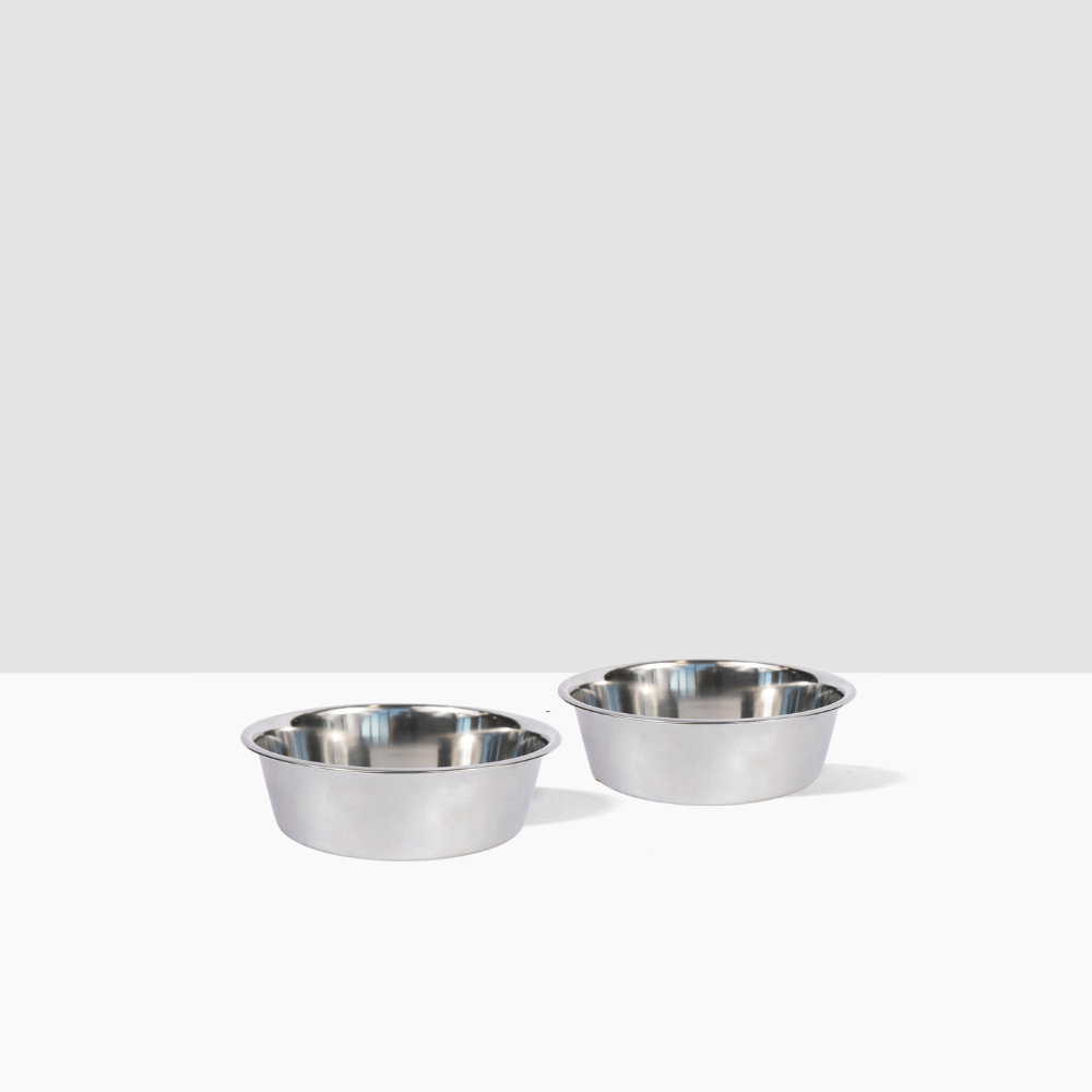Hiddin Metal Pet Bowls, Set of 2