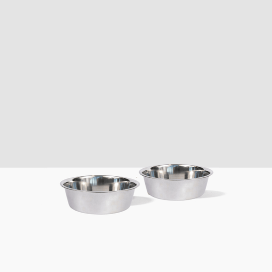 Hiddin Metal Pet Bowls, Set of 2