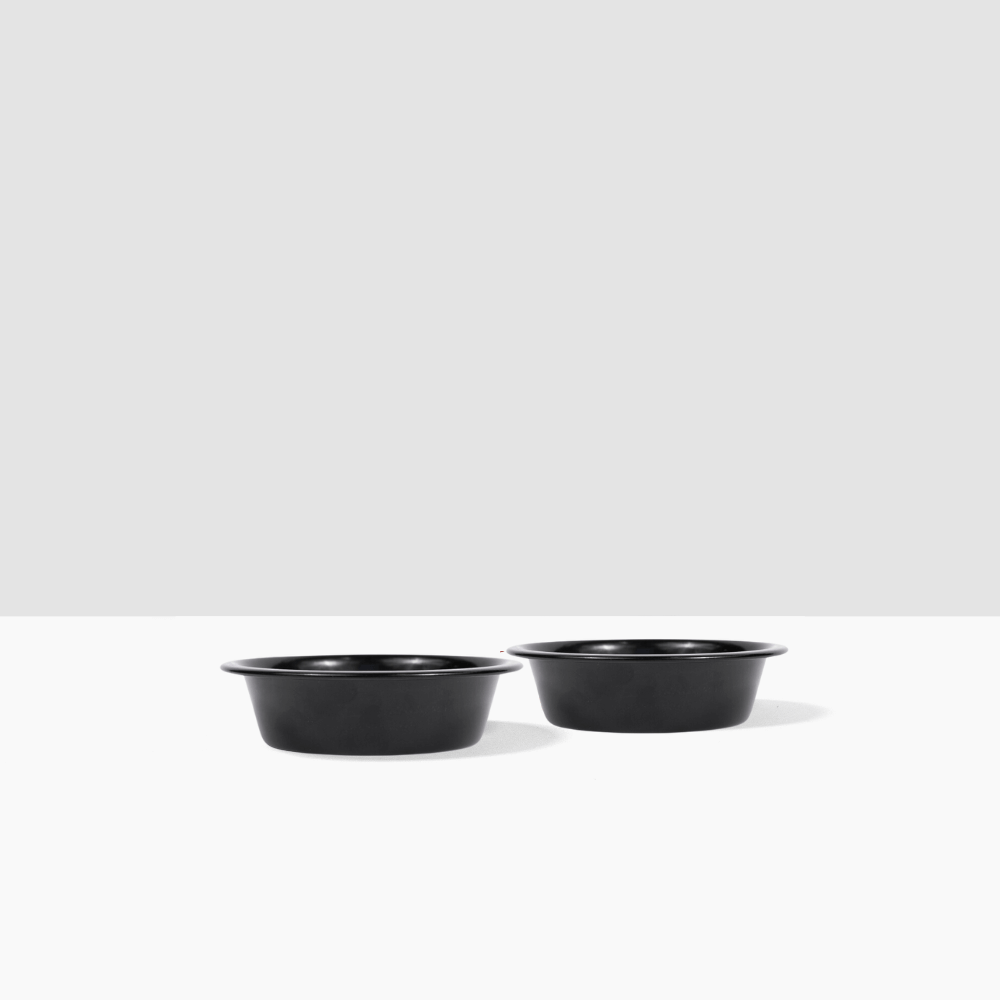 Hiddin Metal Pet Bowls, Set of 2