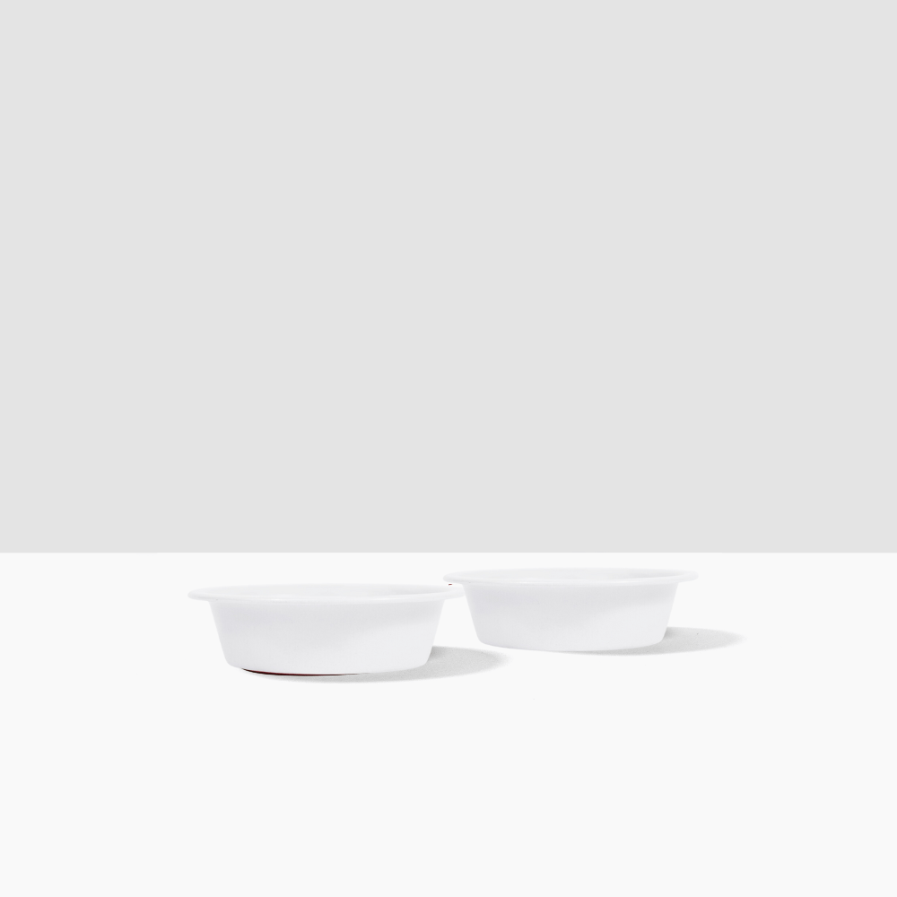 Hiddin Metal Pet Bowls, Set of 2