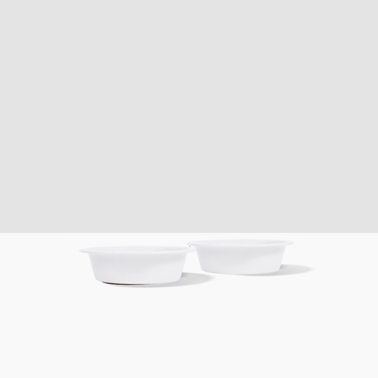 Hiddin Metal Pet Bowls, Set of 2