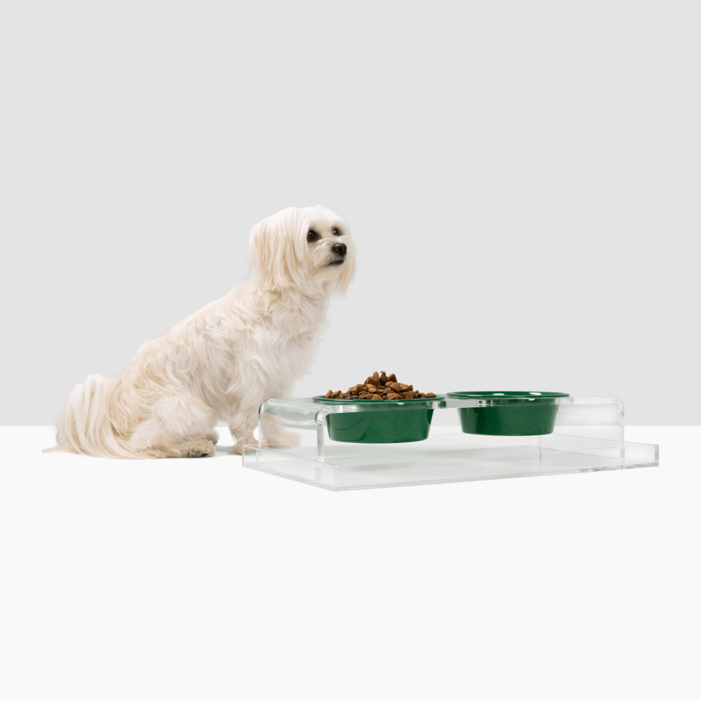 Holiday Double Pet Feeder | Limited Edition