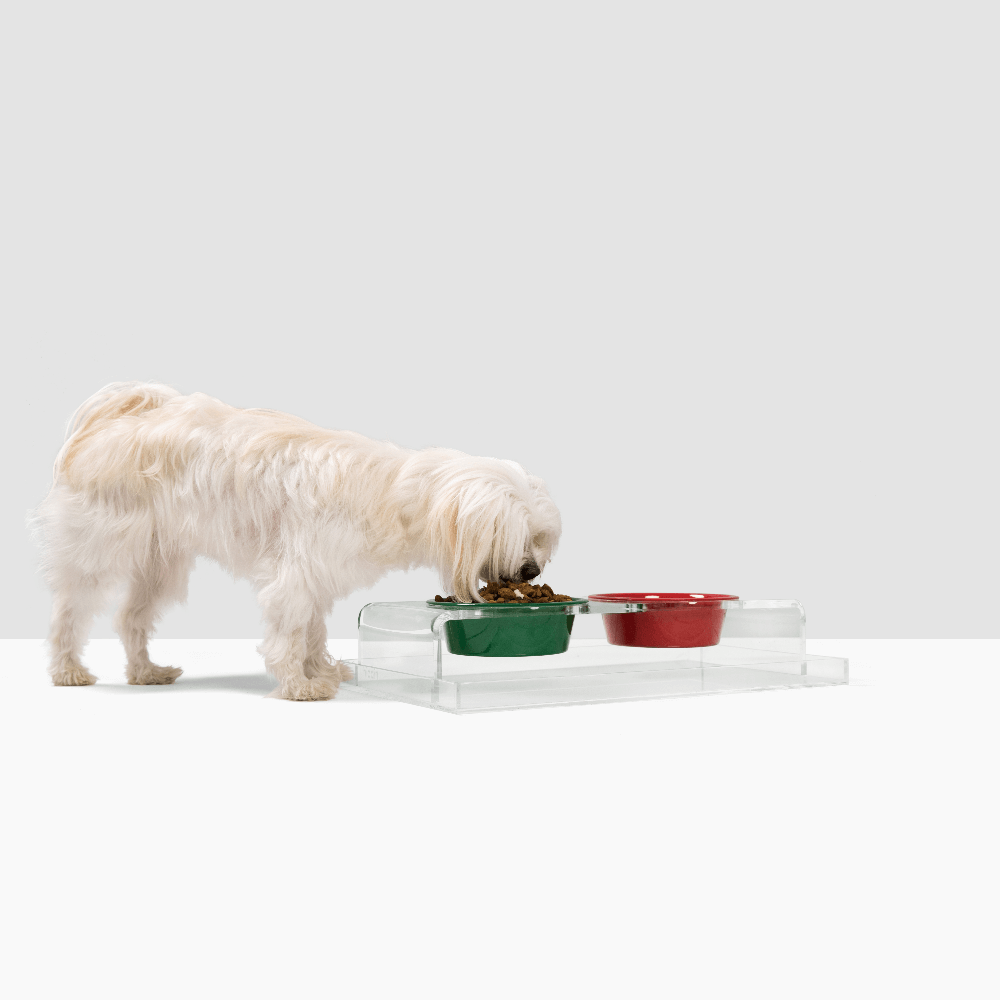Holiday Double Pet Feeder | Limited Edition