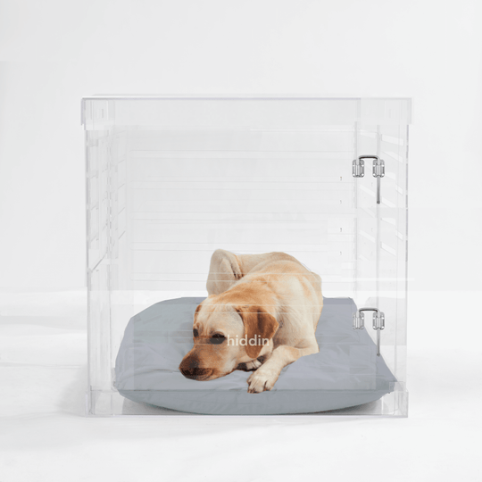 Large Crate (Silver Latch)