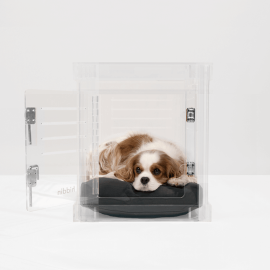 Small Crate (Silver Latch)