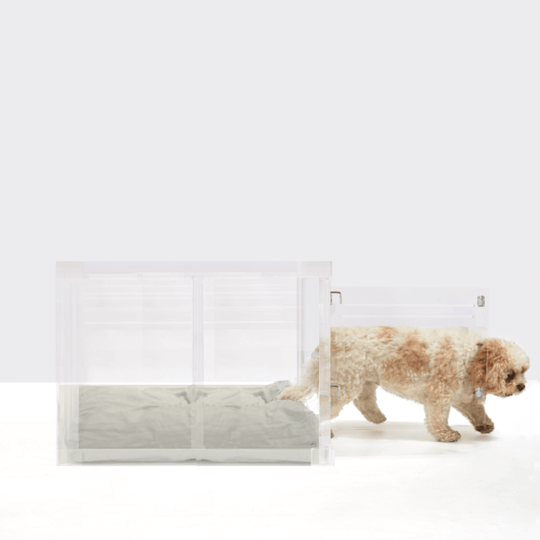 Medium Crate (Silver Latch)