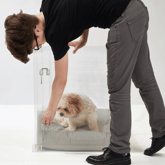 Medium Crate (Silver Latch)