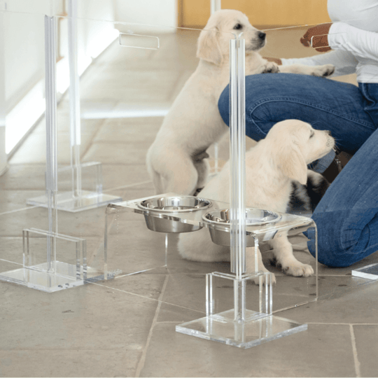 Clear Pet Playpen, 32" High with Door