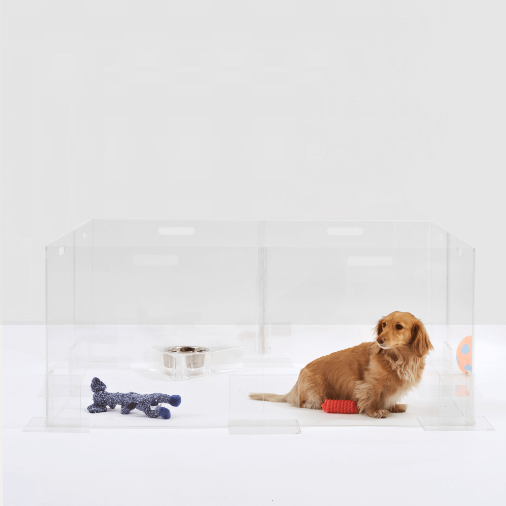 Clear Pet Playpen, 24" High