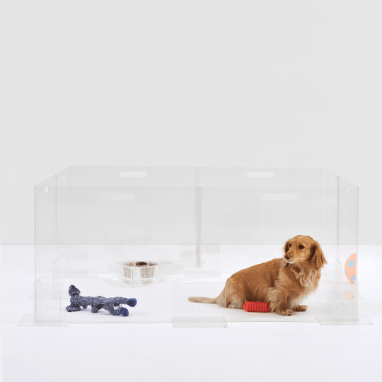 Clear Pet Playpen, 24" High