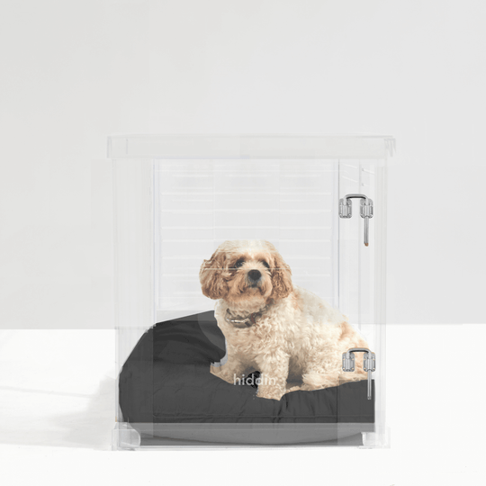 Medium Crate (Silver Latch)