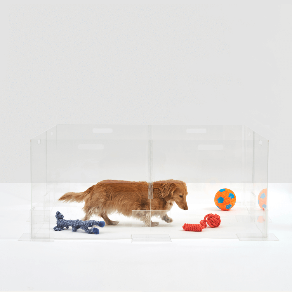 Clear Pet Playpen, 24" High