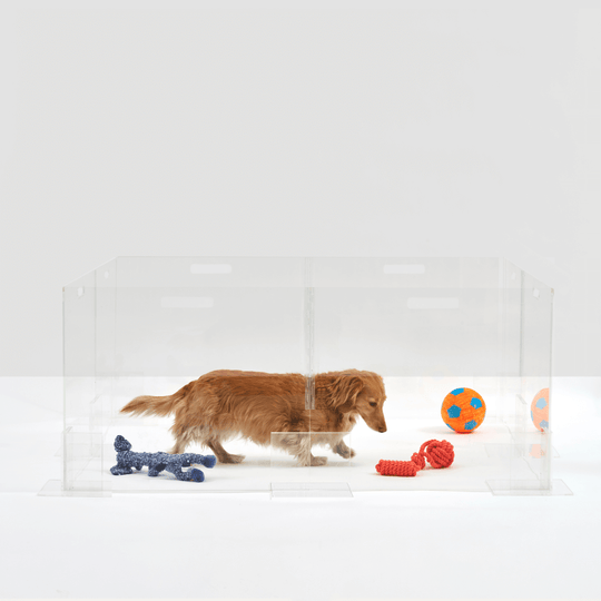 Clear Pet Playpen, 24" High