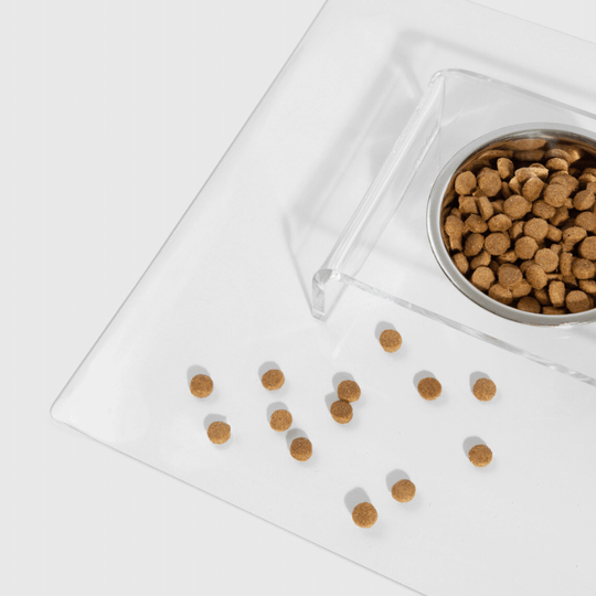 Single Silver Feeder